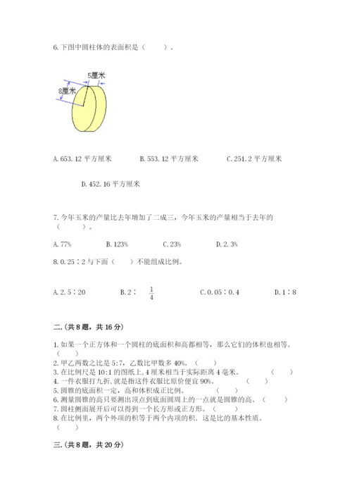 小学六年级升初中模拟试卷（名师系列）.docx