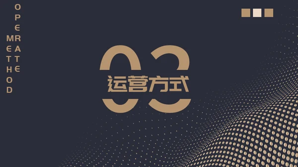 高端质感大气项目融资计划通用PPT模板