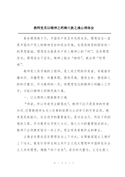 教师党员以精神之钙铸民族之魂心得体会.docx