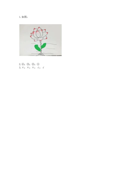 教科版科学一年级上册第一单元《植物》测试卷精品（历年真题）.docx