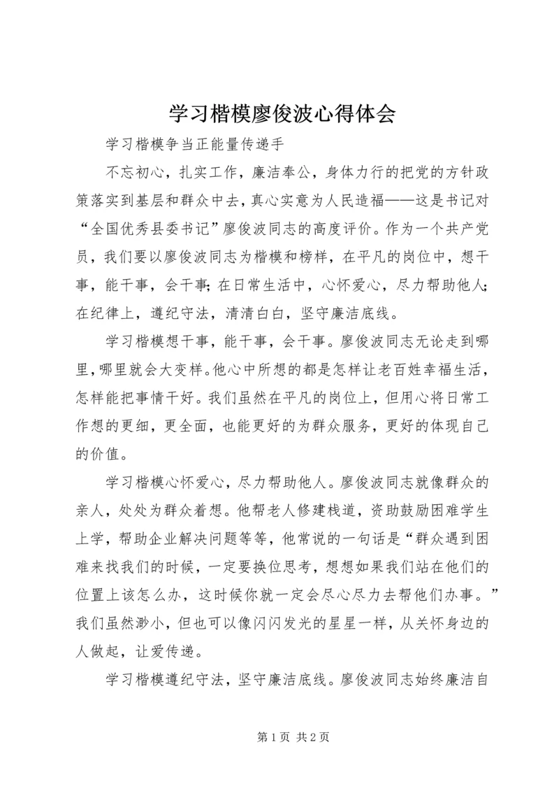 学习楷模廖俊波心得体会.docx