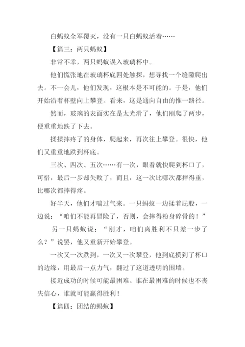 写蚂蚁的作文500字.docx