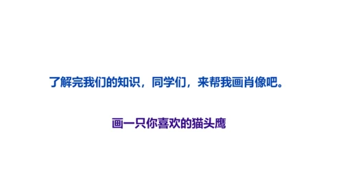 《黑夜狩猎者猫头鹰》