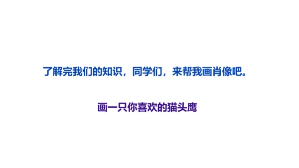 《黑夜狩猎者猫头鹰》