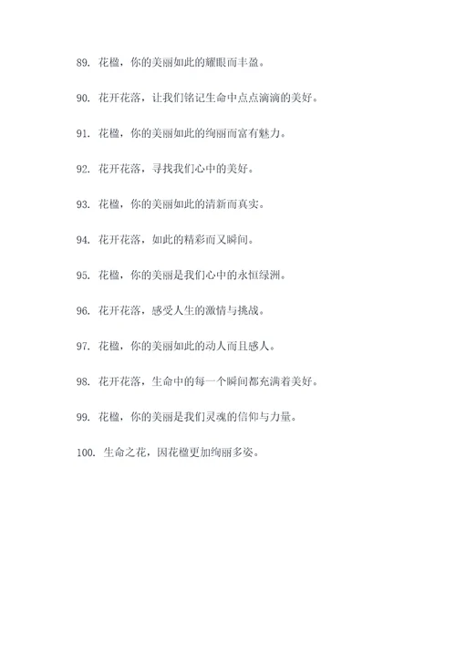 花楹的口号