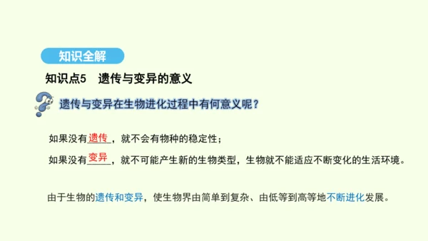 7.2.5生物的变异课件-人教版生物八年级下册(共28张PPT)
