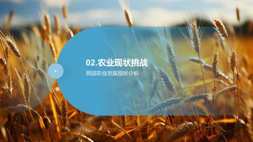 农业科技的发展之路