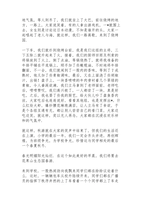 烧烤之点火趣事六年级记叙文.docx