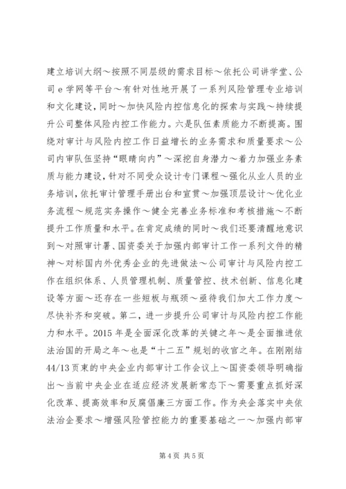 内审分管领导讲话(精) (3).docx