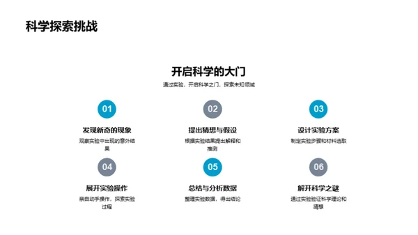 探索科学实验之旅