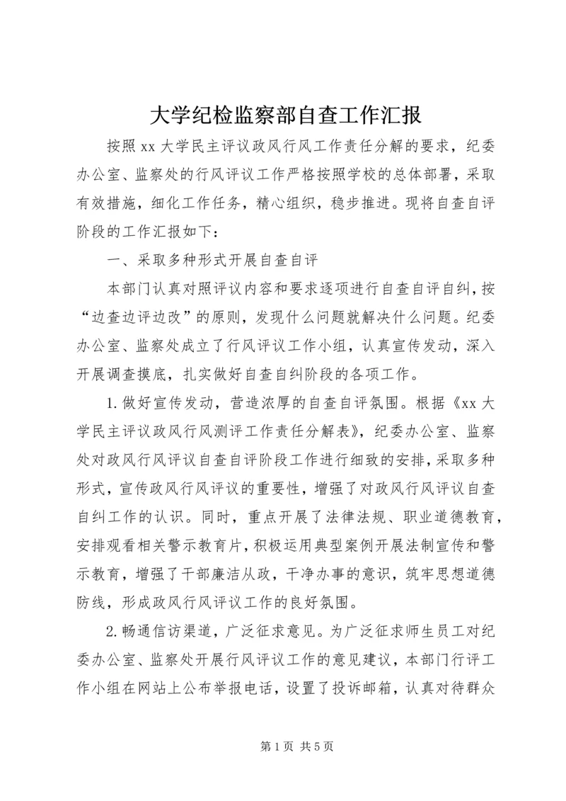 大学纪检监察部自查工作汇报.docx