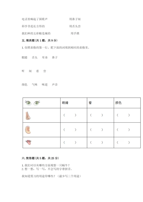 教科版一年级下册科学期末测试卷附答案（精练）.docx