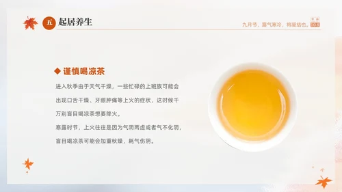 白色淡雅实拍风中国传统节气寒露节气介绍PPT