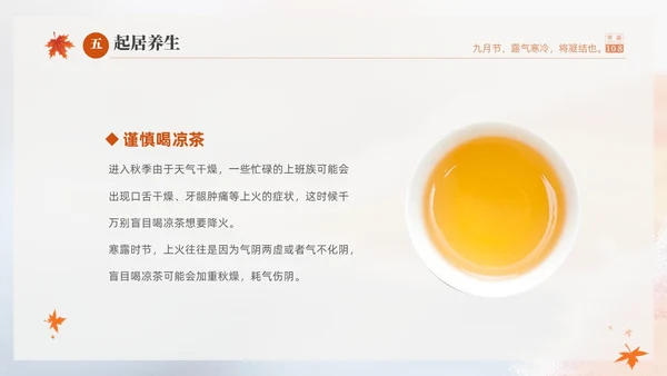 白色淡雅实拍风中国传统节气寒露节气介绍PPT