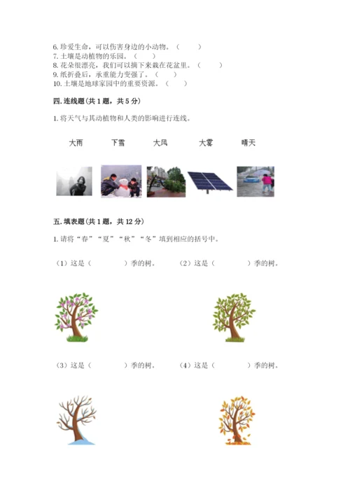 教科版二年级上册科学期末考试试卷含答案【实用】.docx