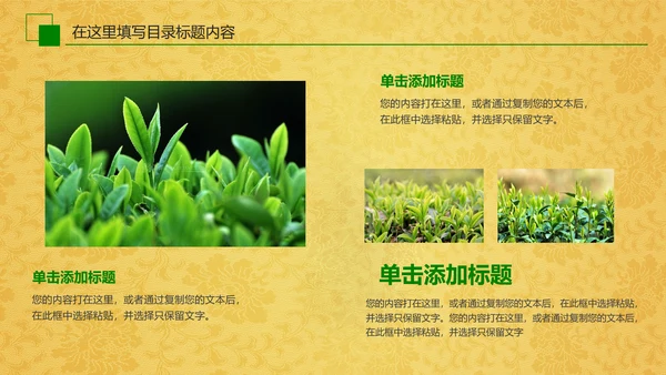 中国茶文化茶道展示茶知识PPT模板