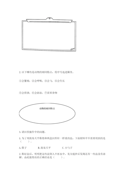 教科版小学科学一年级下册期末测试卷及1套完整答案.docx