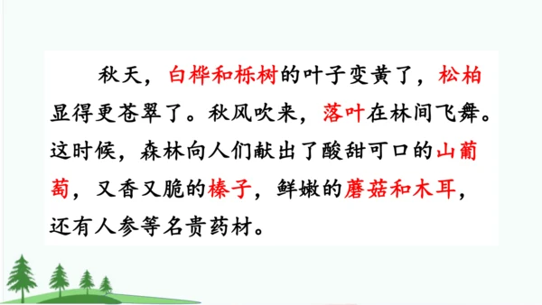 20.美丽的小兴安岭   课件
