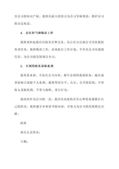 个人代表公司承诺书