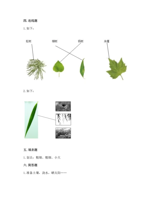 教科版科学一年级上册第一单元《植物》测试卷精品【完整版】.docx