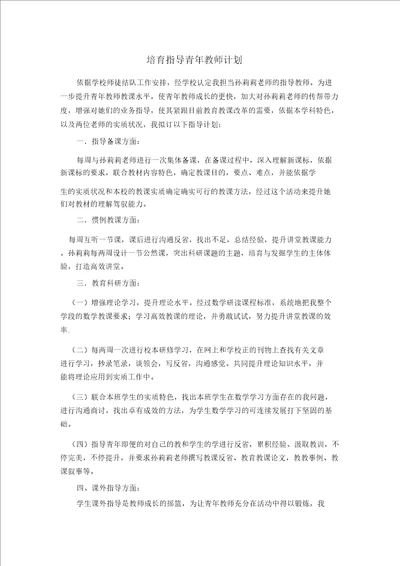 培养指导青年教师计划2