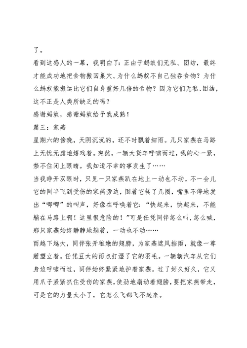 写动物的作文600字6篇(共55页)