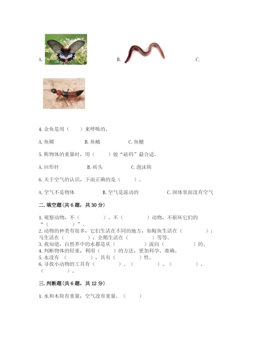 教科版一年级下册科学期末测试卷及参考答案【考试直接用】.docx