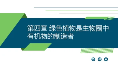 3.3.4  绿色植物是生物圈中有机物的制造者  课件-2023-2024学年人教版生物七年级上册(