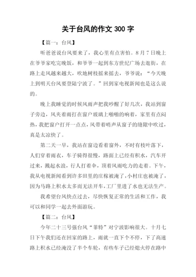 关于台风的作文300字.docx
