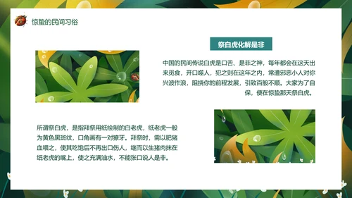 七星瓢虫惊蛰PPT模板