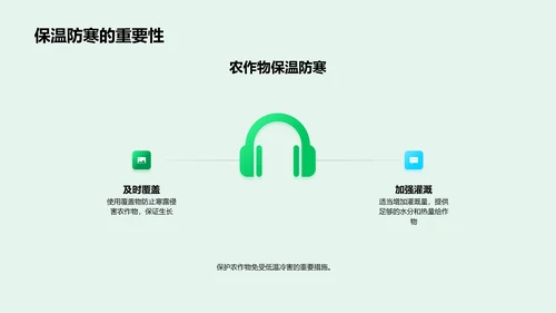 寒露农作保护指南PPT模板