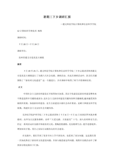 暑期三下乡调研研究报告.docx