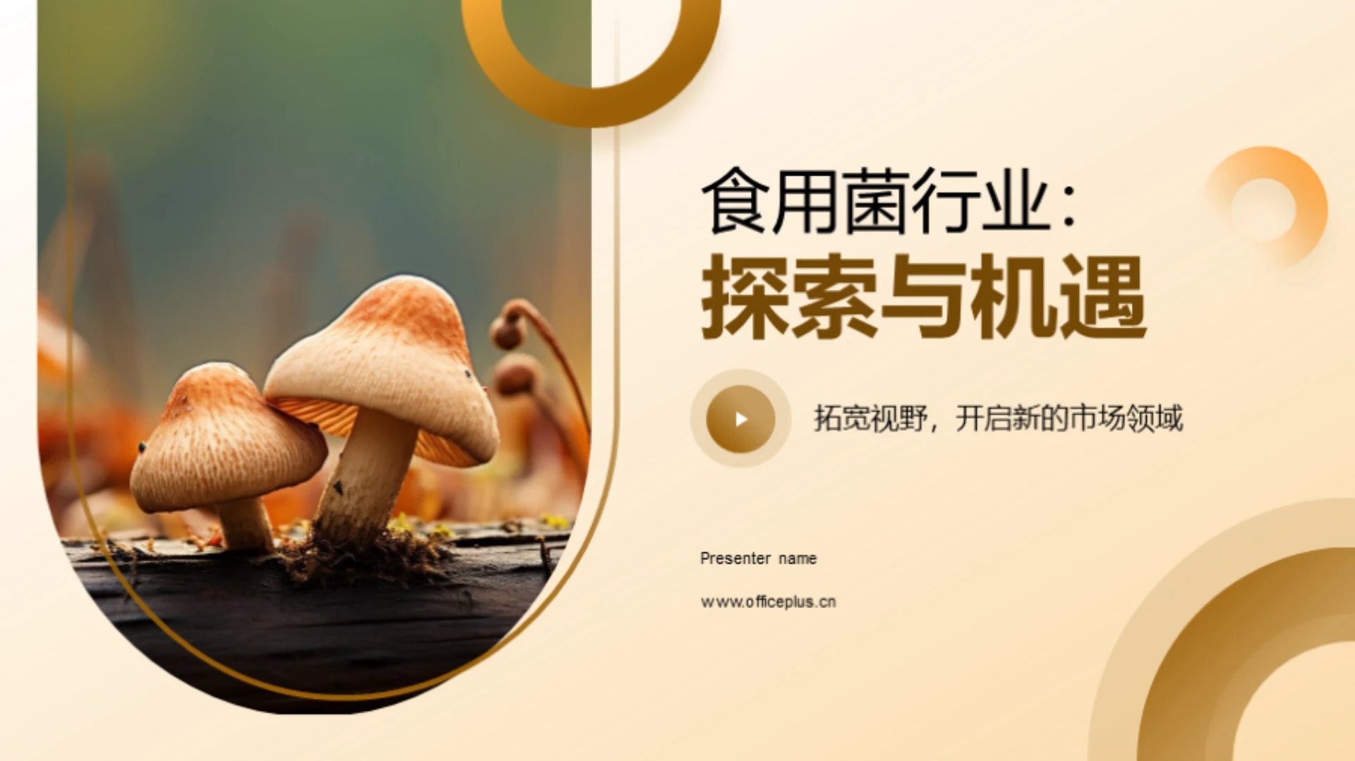 食用菌行业:探索与机遇