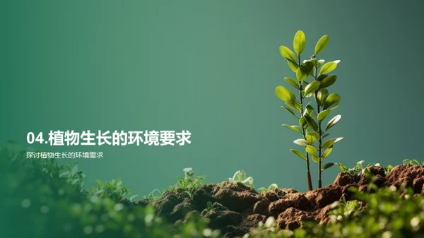 揭秘植物生长之谜