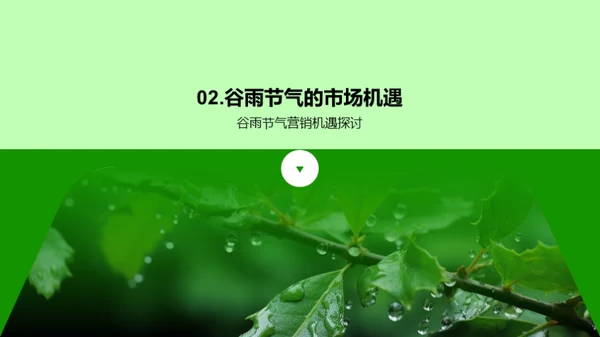 谷雨营销增长策略