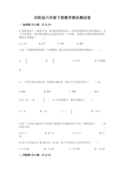 田阳县六年级下册数学期末测试卷及参考答案一套.docx