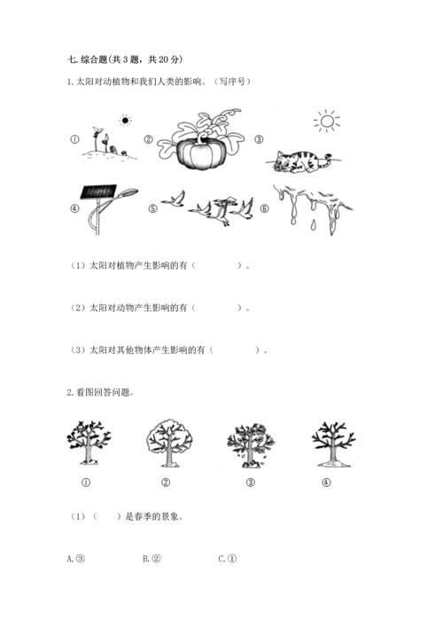教科版二年级上册科学期末测试卷a4版打印.docx