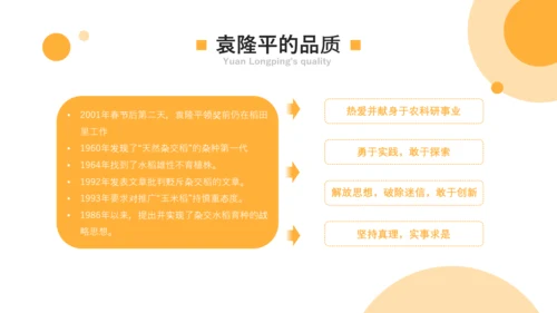 喜看麦浪大丰收农业发展PPT模板
