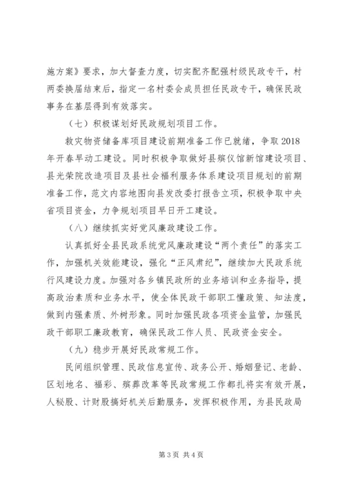 民政局XX年计划.docx