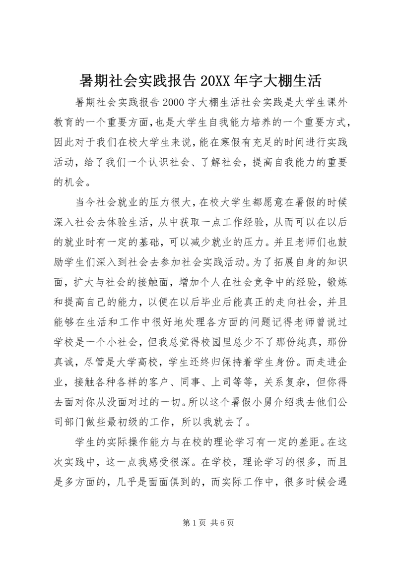 暑期社会实践报告20XX年字大棚生活.docx