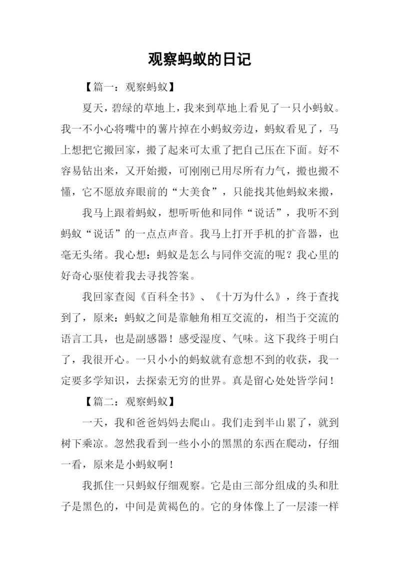观察蚂蚁的日记.docx