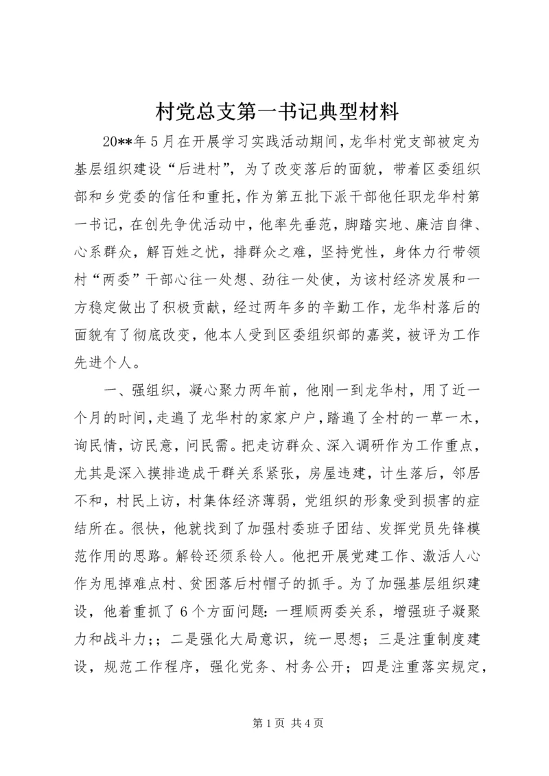 村党总支第一书记典型材料_1.docx