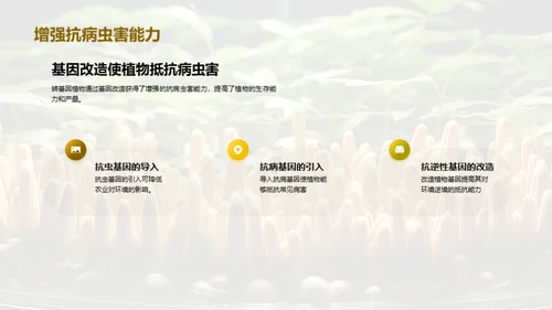 转基因植物