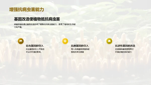 转基因植物