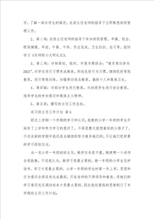 2021年精选实习班主任工作计划模板十篇