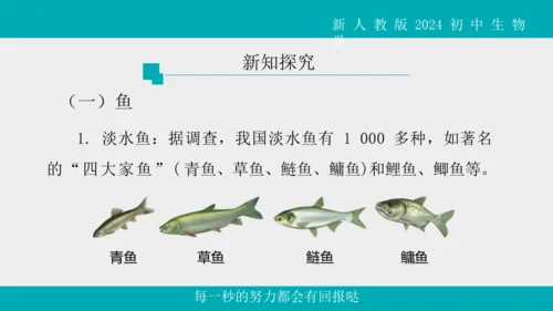 人教版生物七年级上册2.2.2《脊椎动物》（第1课时）课件(共42张PPT)+视频素材