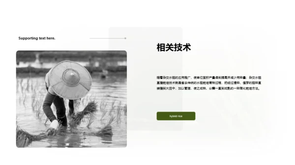 生物专业毕业论文答辩PPT