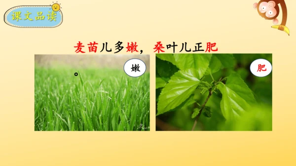 识字4 田家四季歌    课件