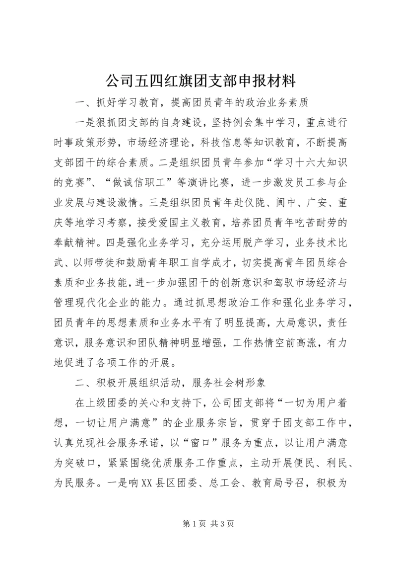 公司五四红旗团支部申报材料.docx