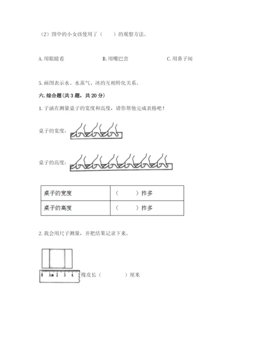 教科版一年级上册科学期末测试卷【名师系列】.docx